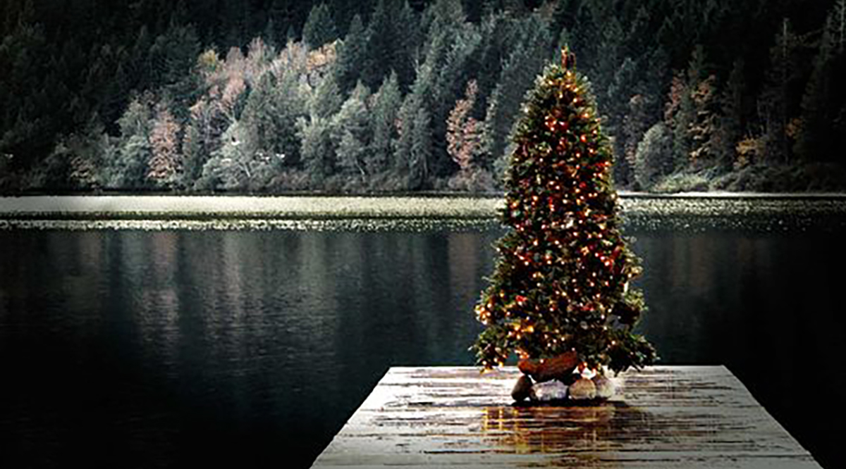 A Christmas tree brightens a waterfront property with holiday decorations for docks.